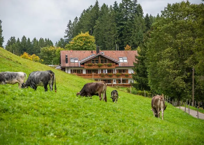 Apartmán Rubihorn Mit Berg-blick